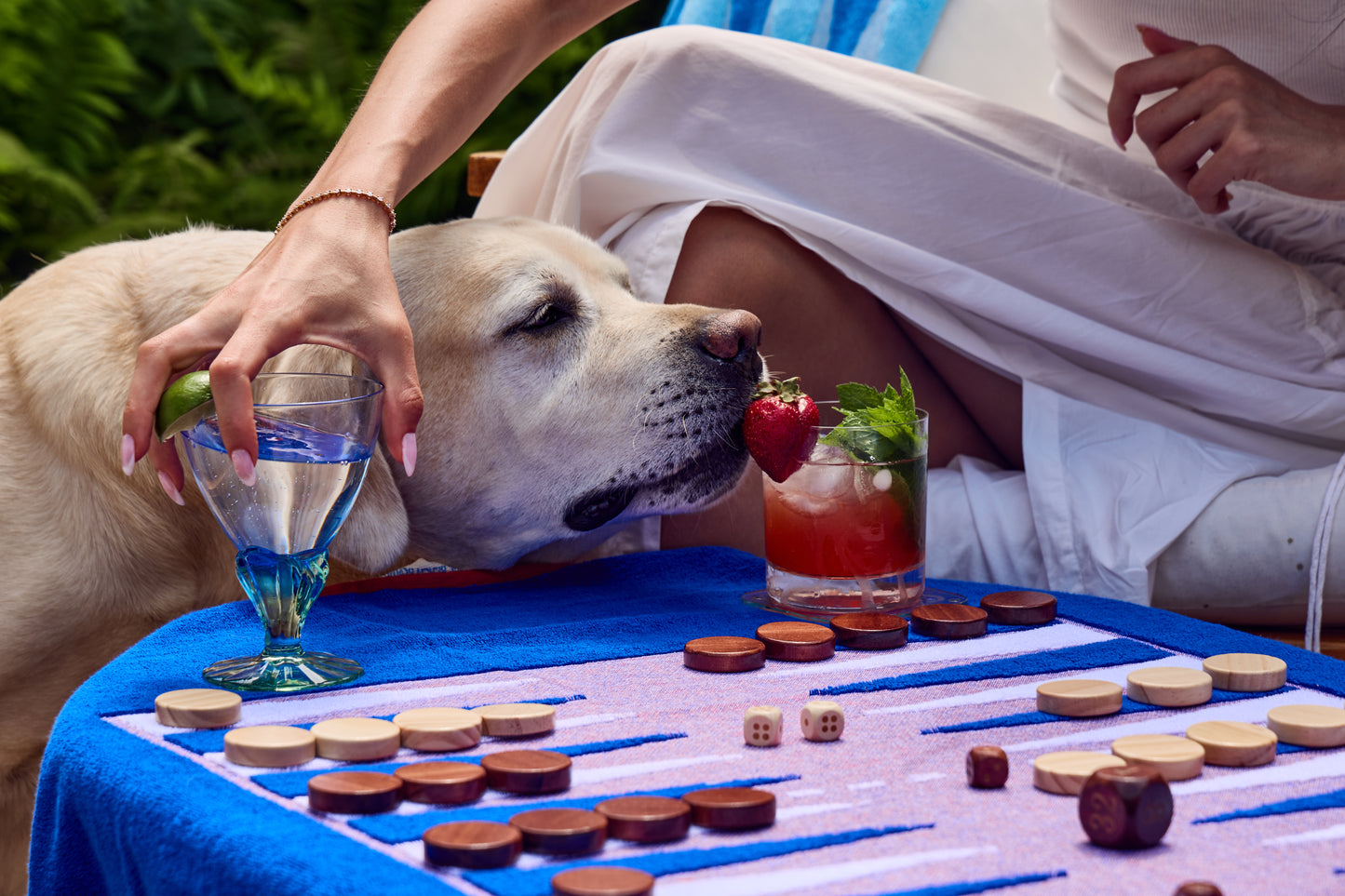 Cute labrador sniffing a strawberry coctail placed on top of a beach board