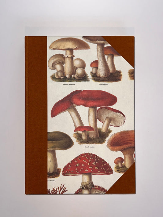 Alleta Notebook (lined)
