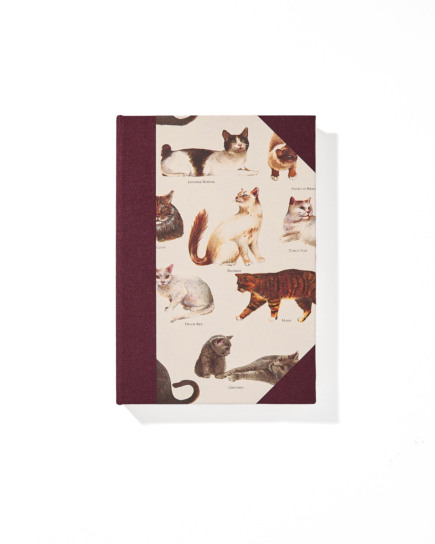 Patrick Notebook (lined)